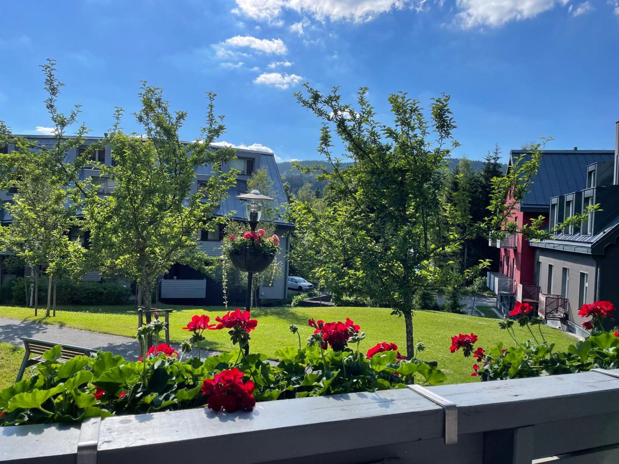 Spirit Harrachov Superior Wellness Apartments - Free Wellness, Wifi, Parking, Harrachov Card מראה חיצוני תמונה