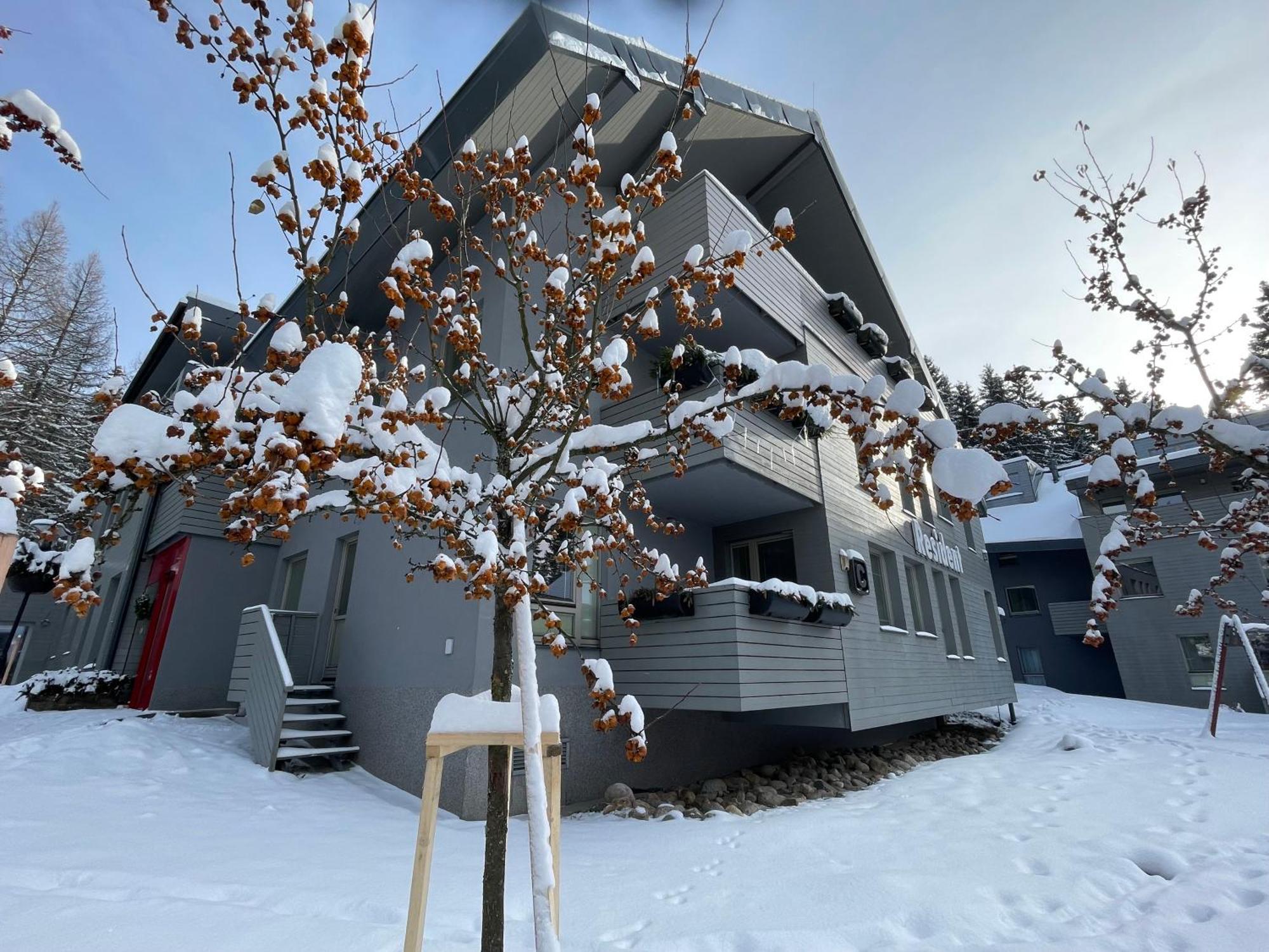 Spirit Harrachov Superior Wellness Apartments - Free Wellness, Wifi, Parking, Harrachov Card מראה חיצוני תמונה