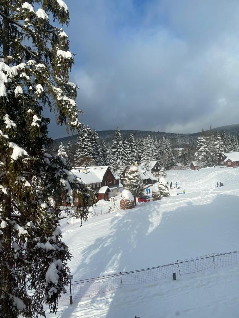 Spirit Harrachov Superior Wellness Apartments - Free Wellness, Wifi, Parking, Harrachov Card מראה חיצוני תמונה