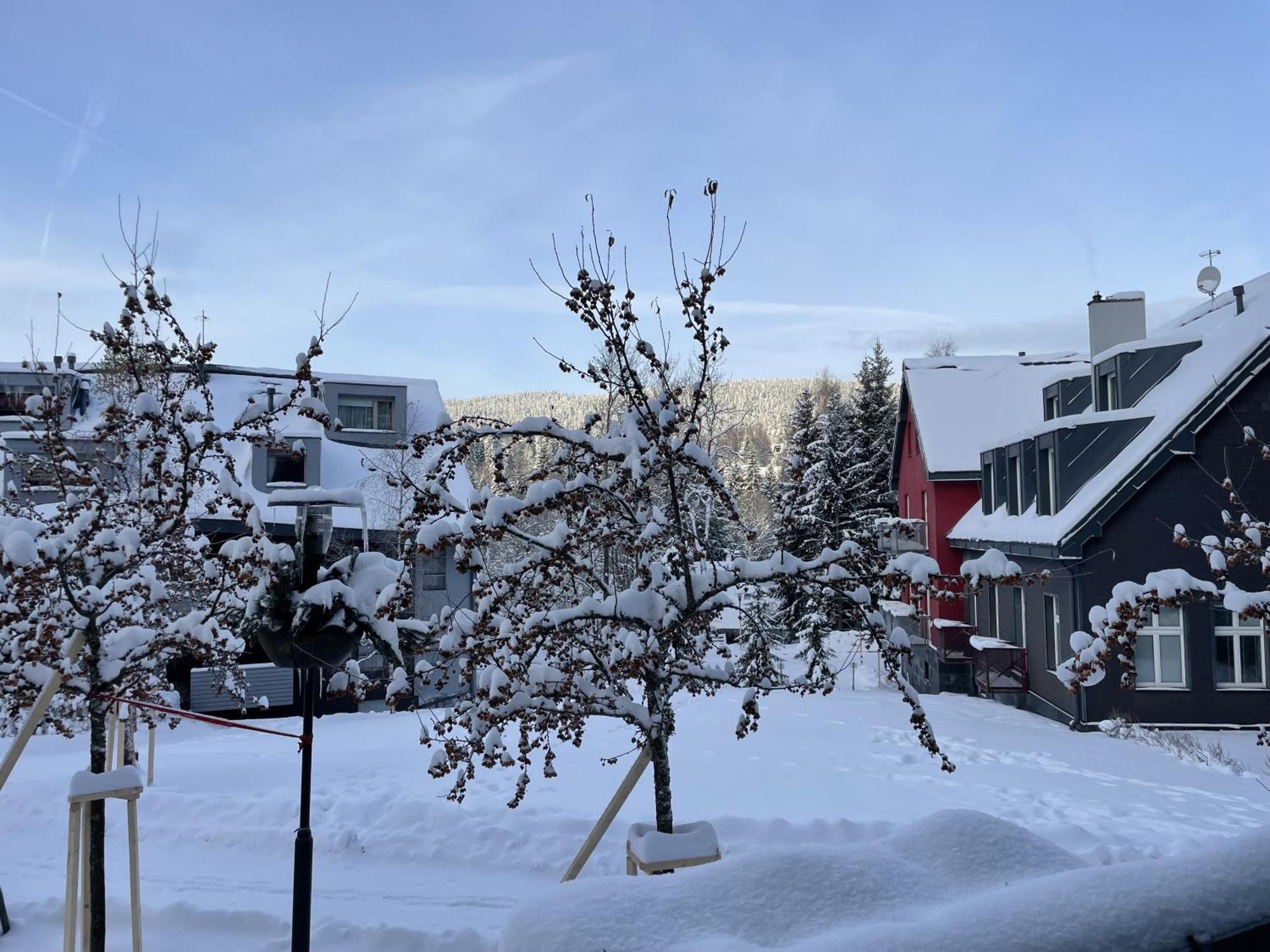 Spirit Harrachov Superior Wellness Apartments - Free Wellness, Wifi, Parking, Harrachov Card מראה חיצוני תמונה